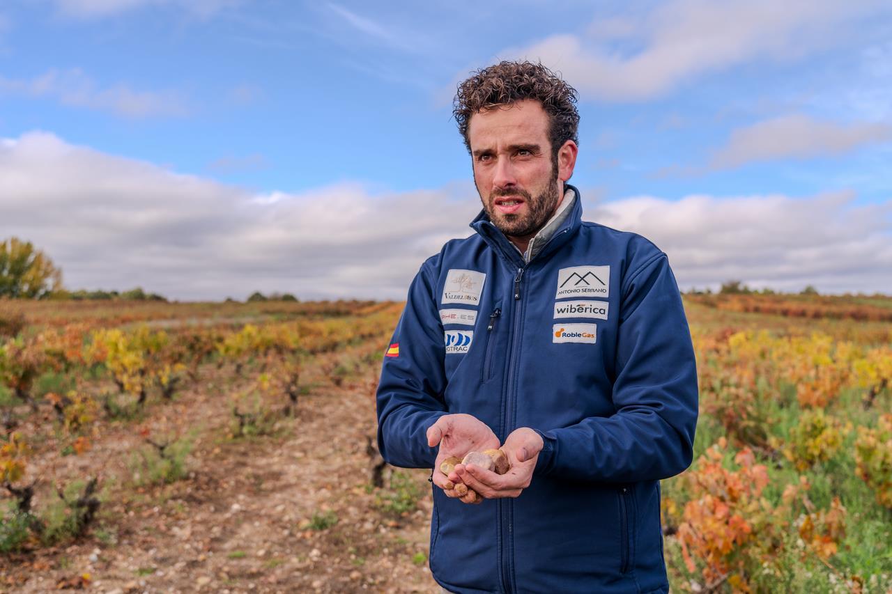 Antonio Serrano en Ribera del Duero, proyecto en Soria "cabeza lobera"